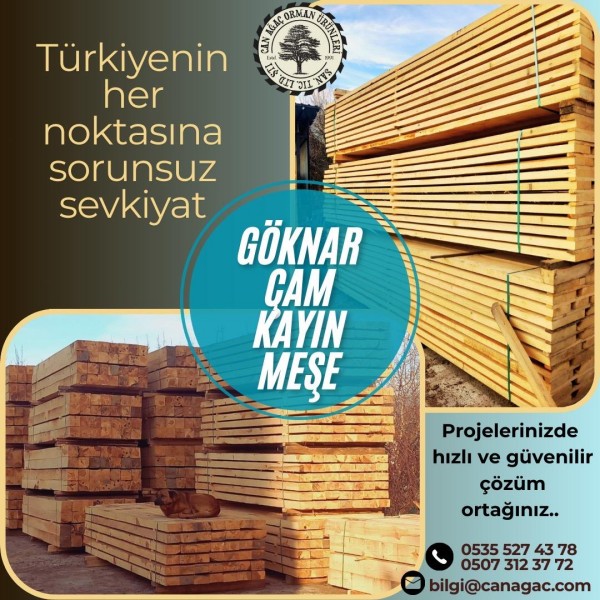 Can Ağaç Tanıtım 1